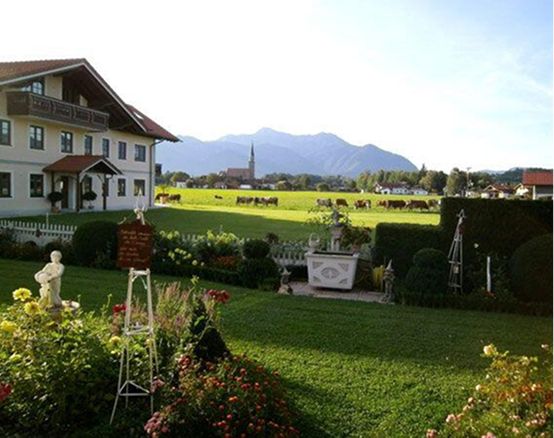 Das Haus bei Sonne fotografiert und Kühen auf der Weide