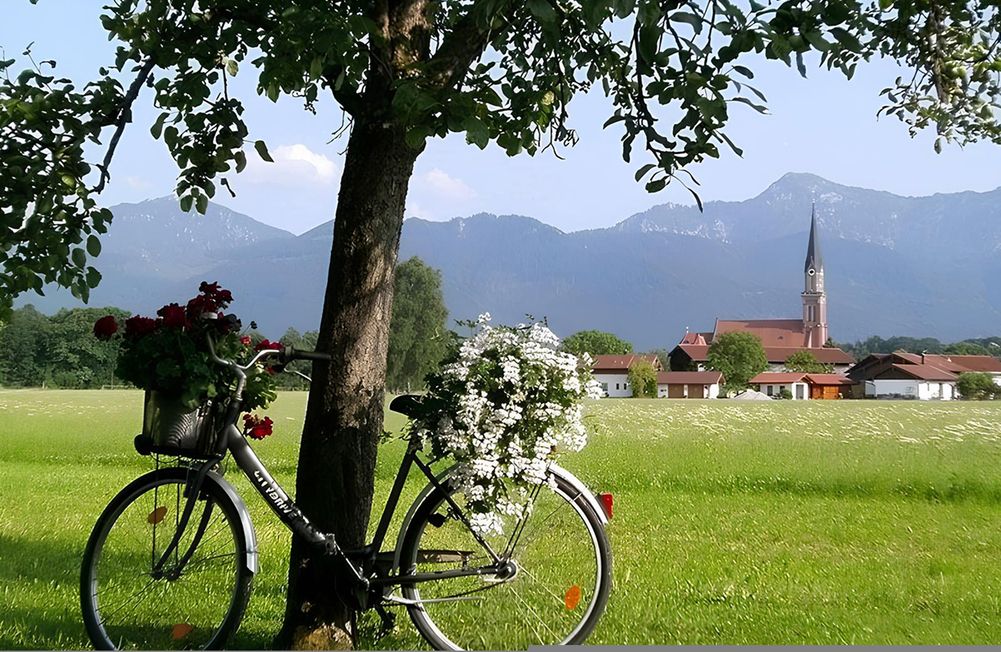 EIn Fahrrad mit Blumen im Korb lehnt an einem Baum